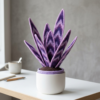 Purple Galaxy Snake Plant Amigurumi Free Crochet Pattern