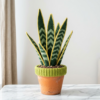 Snake Plant Amigurumi in Terracotta Pot Free Crochet Pattern